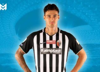 Scamacca