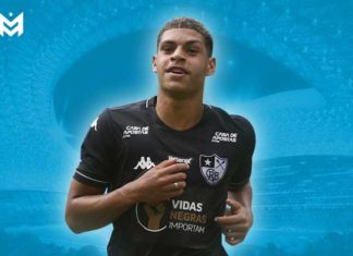 Luis Henrique Botafogo